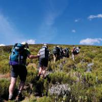 Trekking the verdant trail through Mount Kenya National Park | Heike Krumm