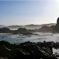 Rugged Western Cape coastline | Natalie Tambolash