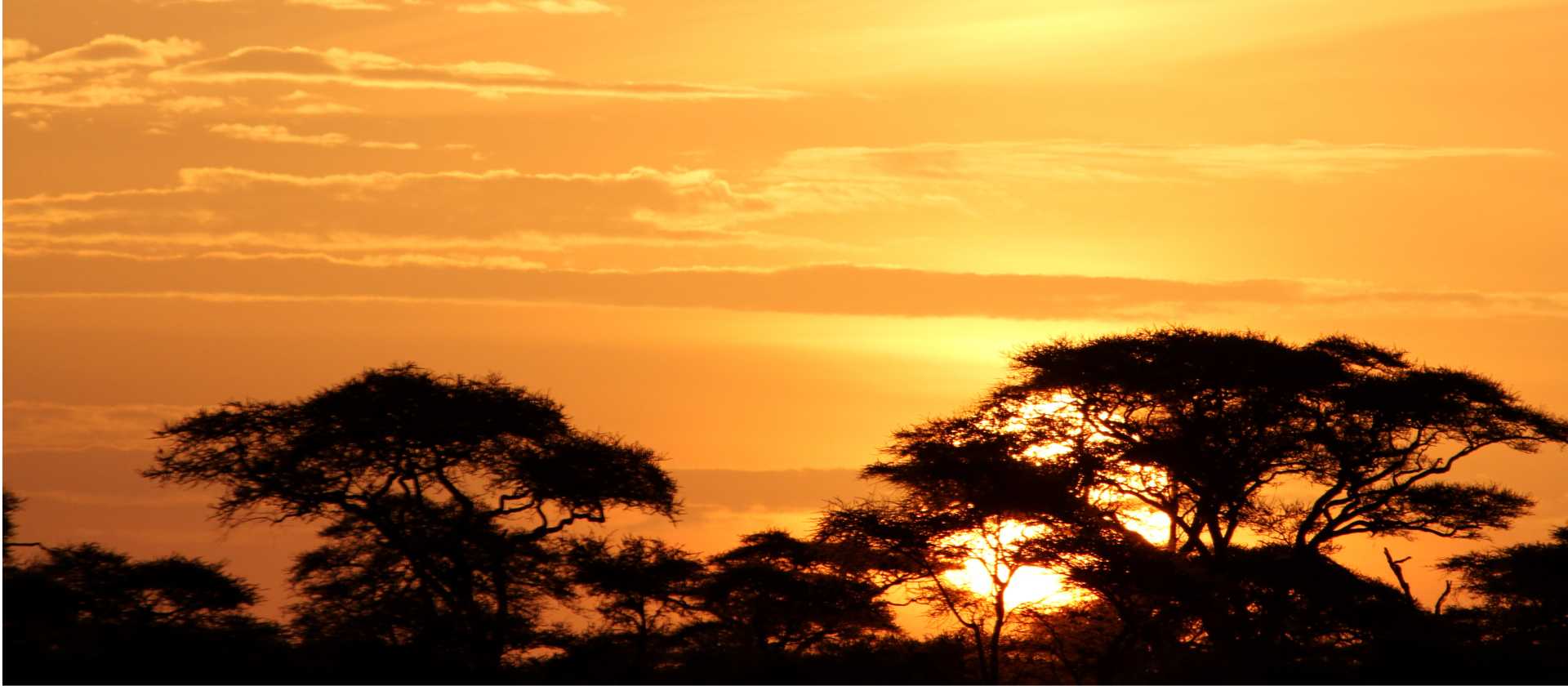 Sunrise over the Serengeti | Ian Williams