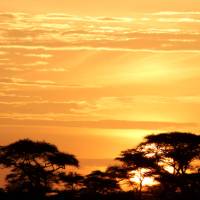 Sunrise over the Serengeti | Ian Williams