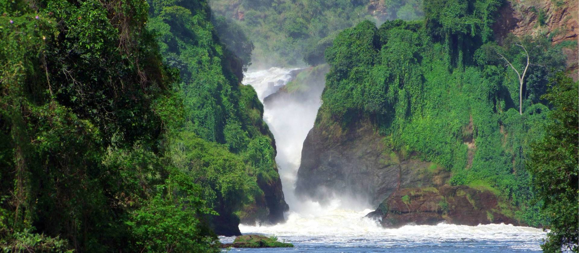 The lush vegetation and powerful waters of Murchison Falls