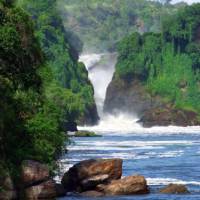 The lush vegetation and powerful waters of Murchison Falls