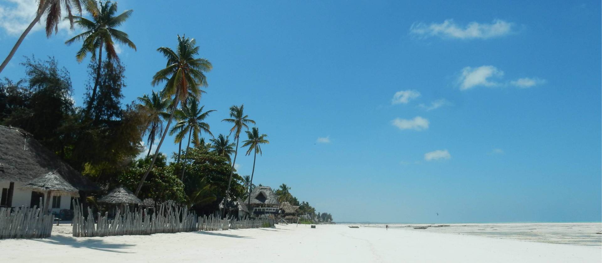 Pristine beaches of Zanzibar