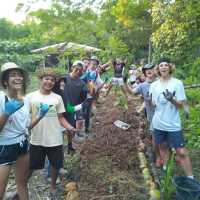 Permaculture service in Borneo