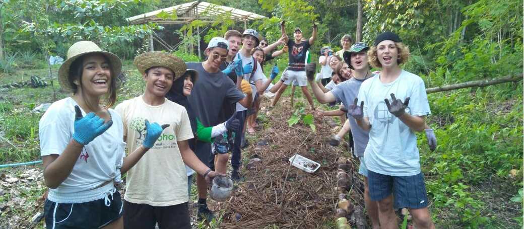 Permaculture service in Borneo