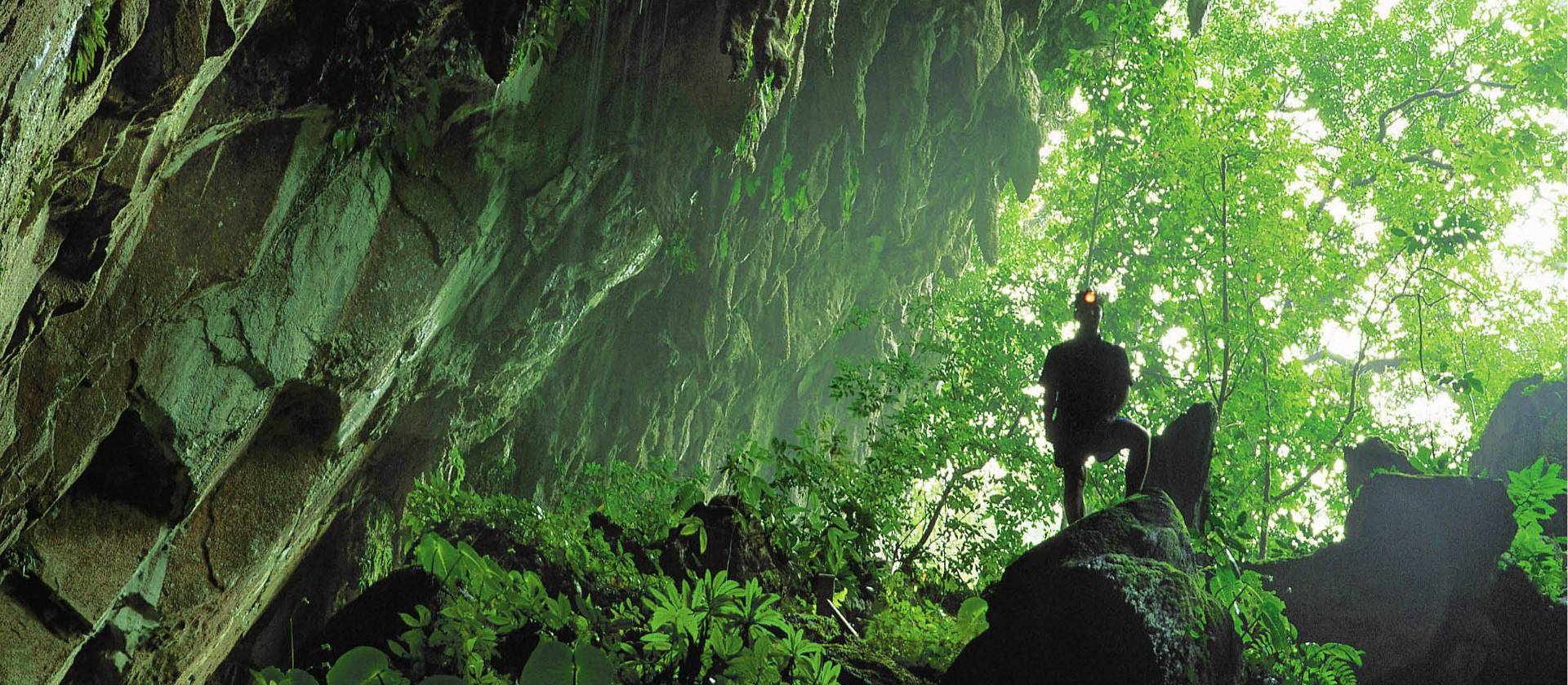 Clearwater Caves, Mulu National Park, Borneo