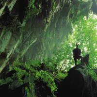 Clearwater Caves, Mulu National Park, Borneo