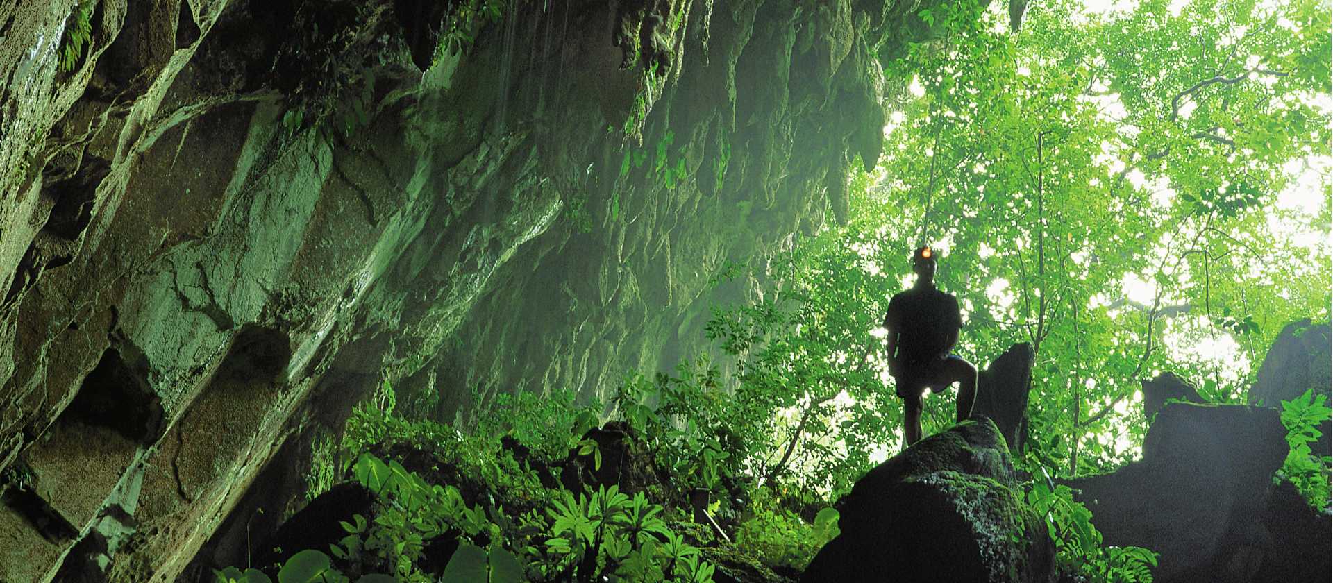 Clearwater Caves, Mulu National Park, Borneo