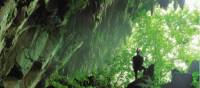 Clearwater Caves, Mulu National Park, Borneo