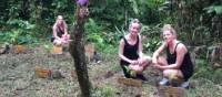 Tree planting near Kinabatangan River | Downunder Adventures