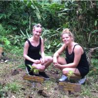 Tree planting near Kinabatangan River | Downunder Adventures