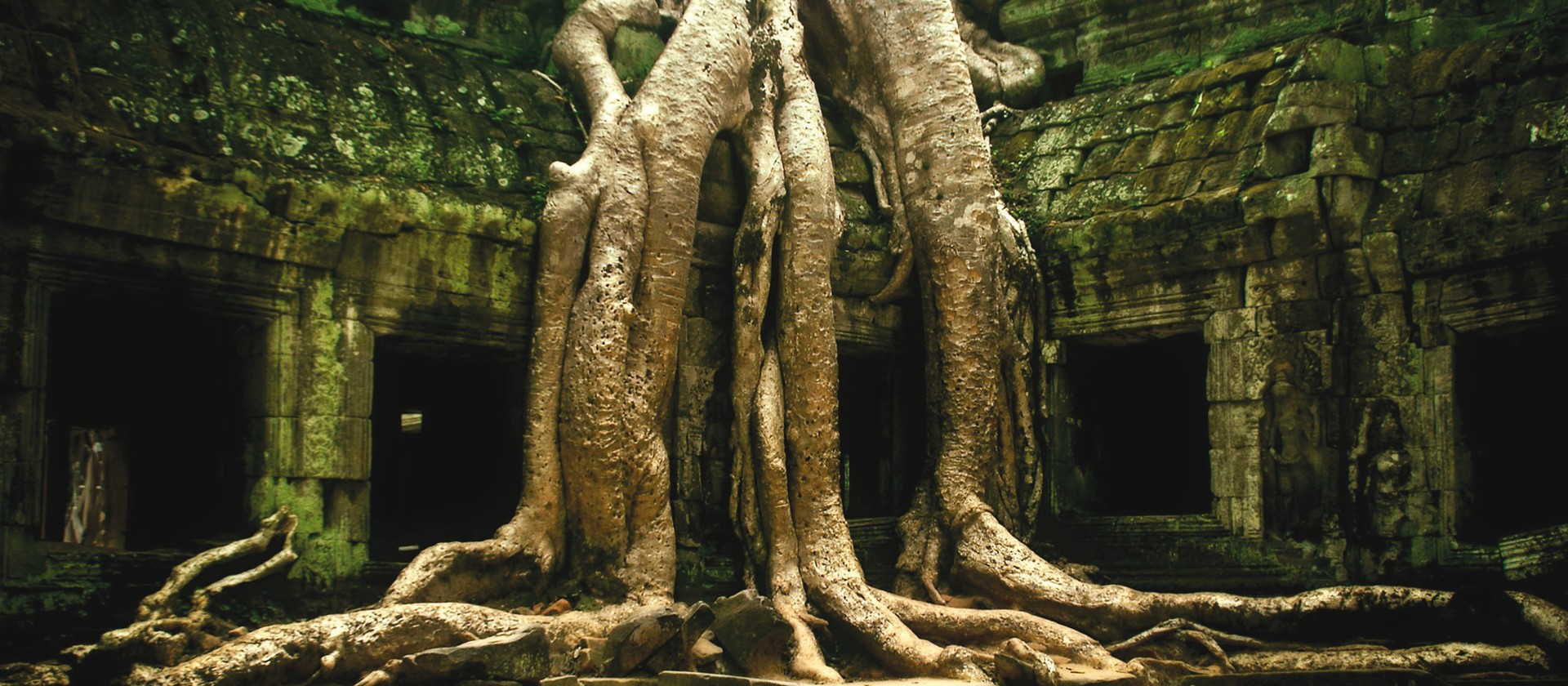 Nature engulfs Ta Prohm, one of the ruins of Angkor, Cambodia. | David Lazar