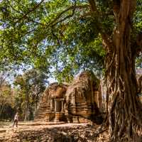 Explore jungle temples without the crowds | Lachlan Gardiner