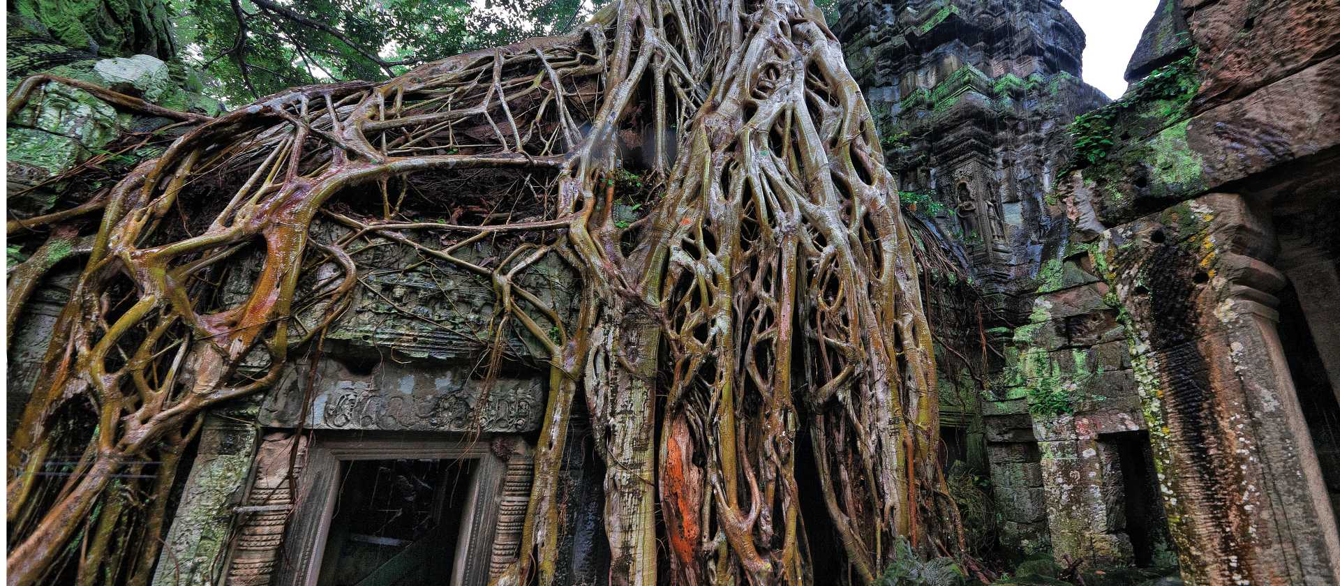 The fascinating ruins of Ta Prohm, Angkor Wat. | Peter Walton