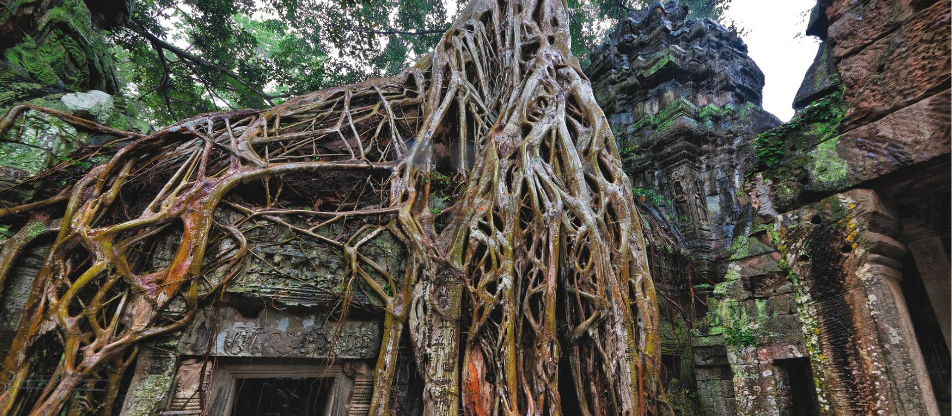 The fascinating ruins of Ta Prohm, Angkor Wat. | Peter Walton