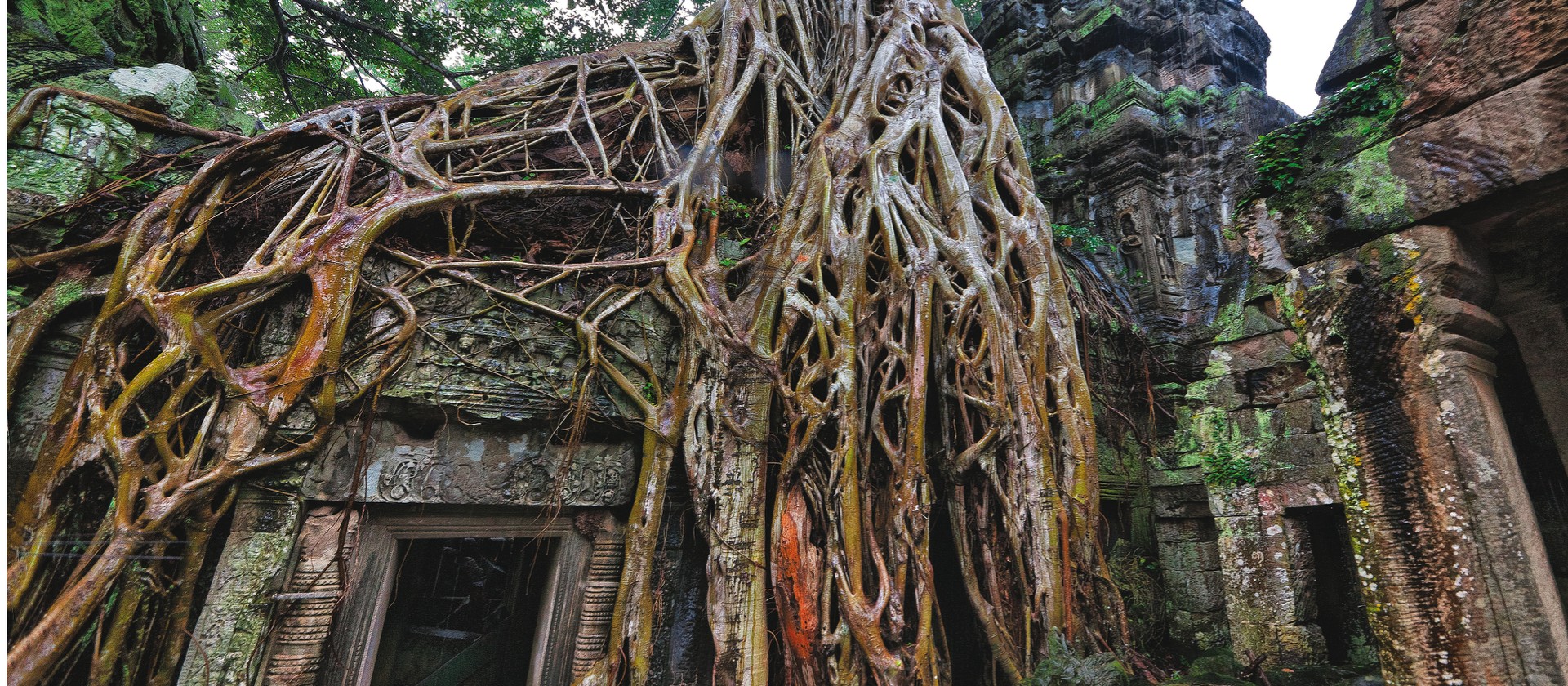 The fascinating ruins of Ta Prohm, Angkor Wat. | Peter Walton