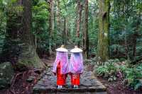 Explore Japan at your pace on a self-guided hiking tour | JNTO