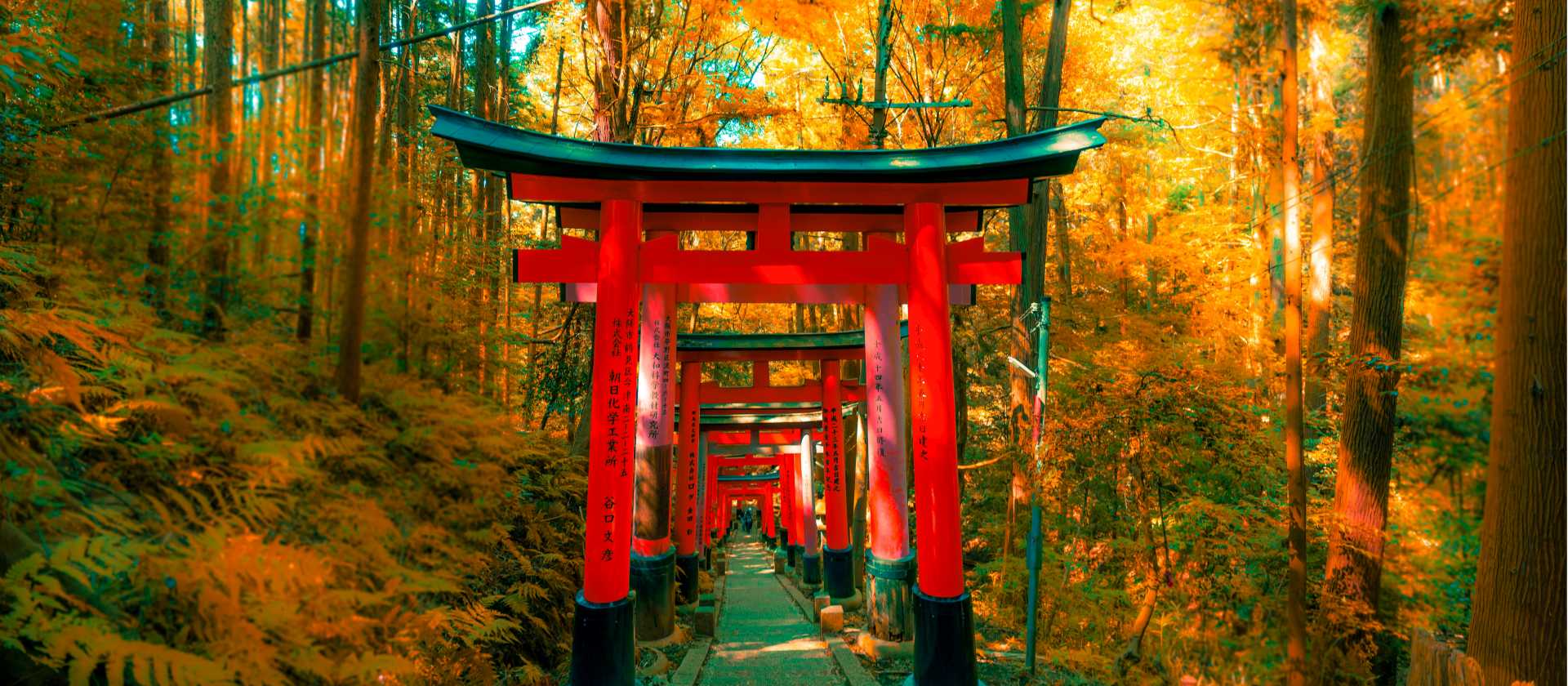 Walk beneath thousands of iconic vermilion torii gates. | Jezael Melgoza