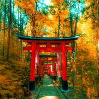 Walk beneath thousands of iconic vermilion torii gates. | Jezael Melgoza
