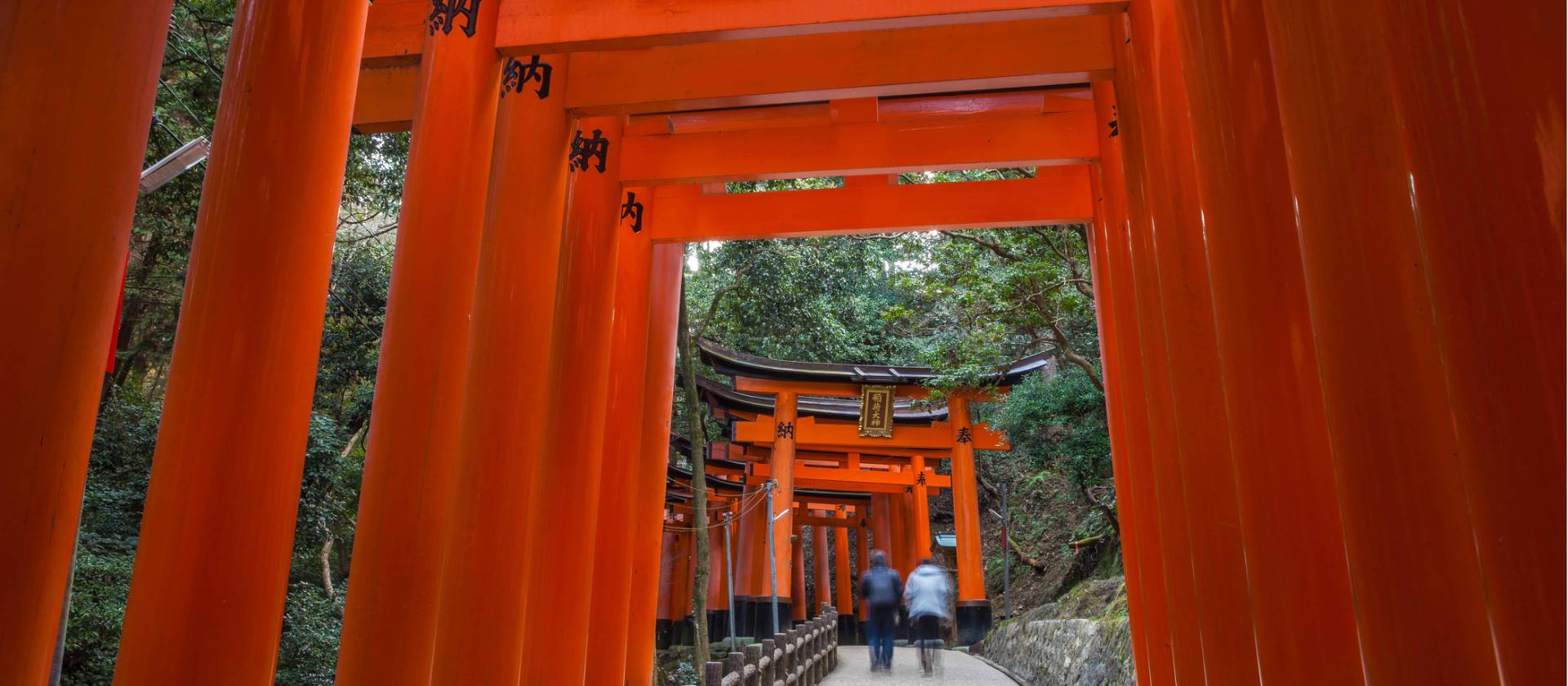 Temple-goers walking through torii gates | Felipe Romero Beltran