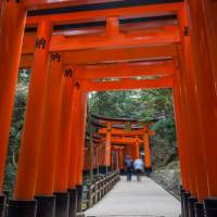 Temple-goers walking through torii gates | Felipe Romero Beltran