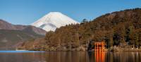 Beautiful scenery of Japan | Felipe Romero Beltran