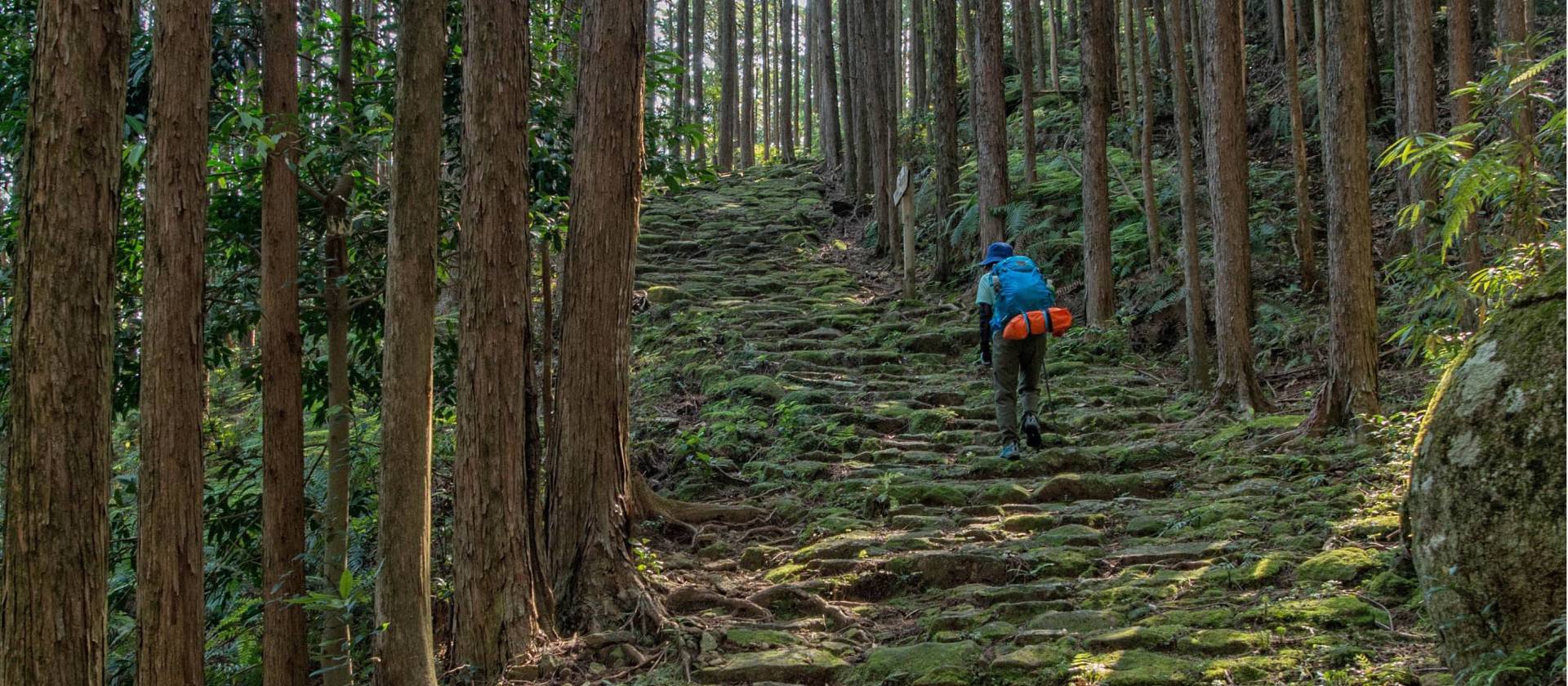 Ancient cobble lined route on the Kumano Kodo