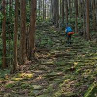 Ancient cobble lined route on the Kumano Kodo