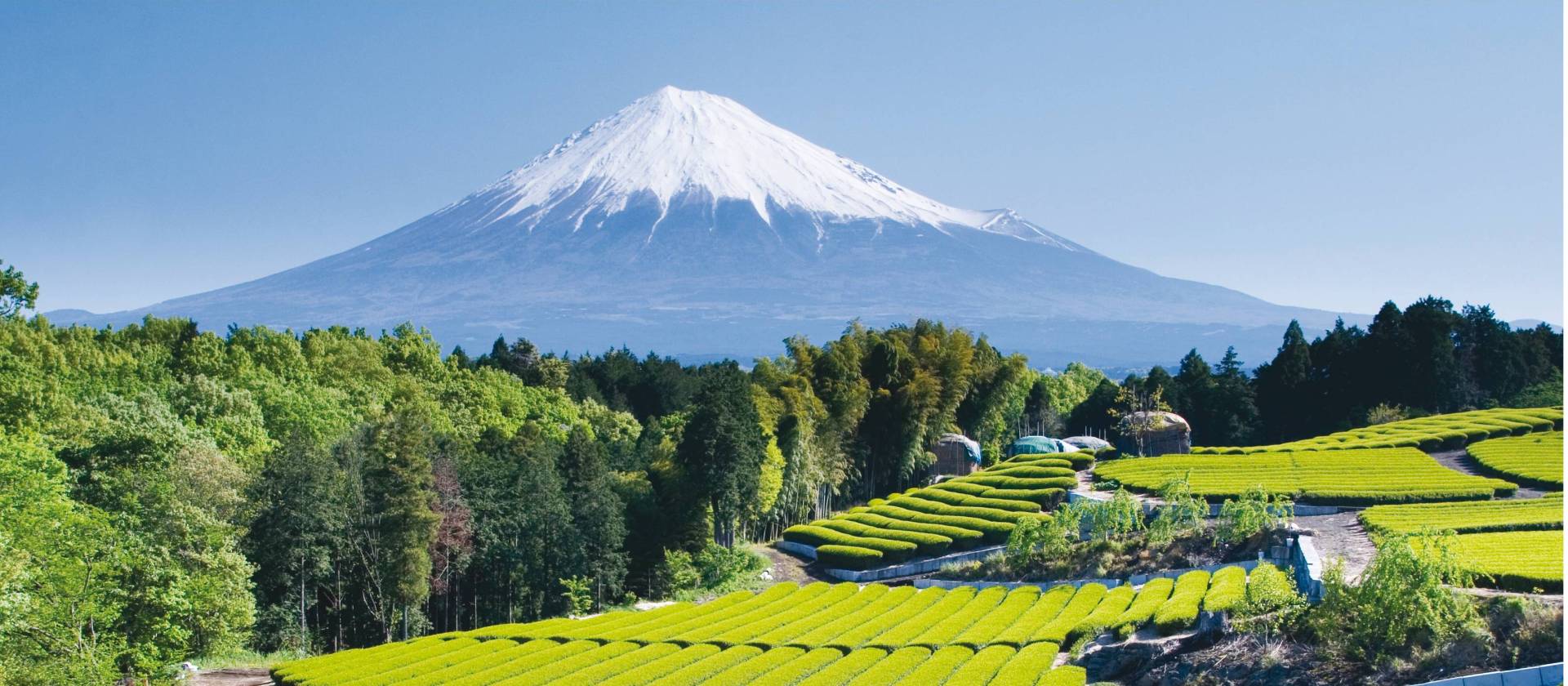 You will enjoy amazing views of Mount Fuji on our Backroads of Japan trip
