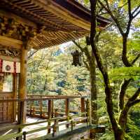 Temples nestle perfectly into Japans stunning natural beauty