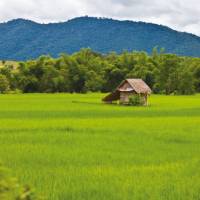 Lonely hut in the landscape of  Vientiane | Peter Walton