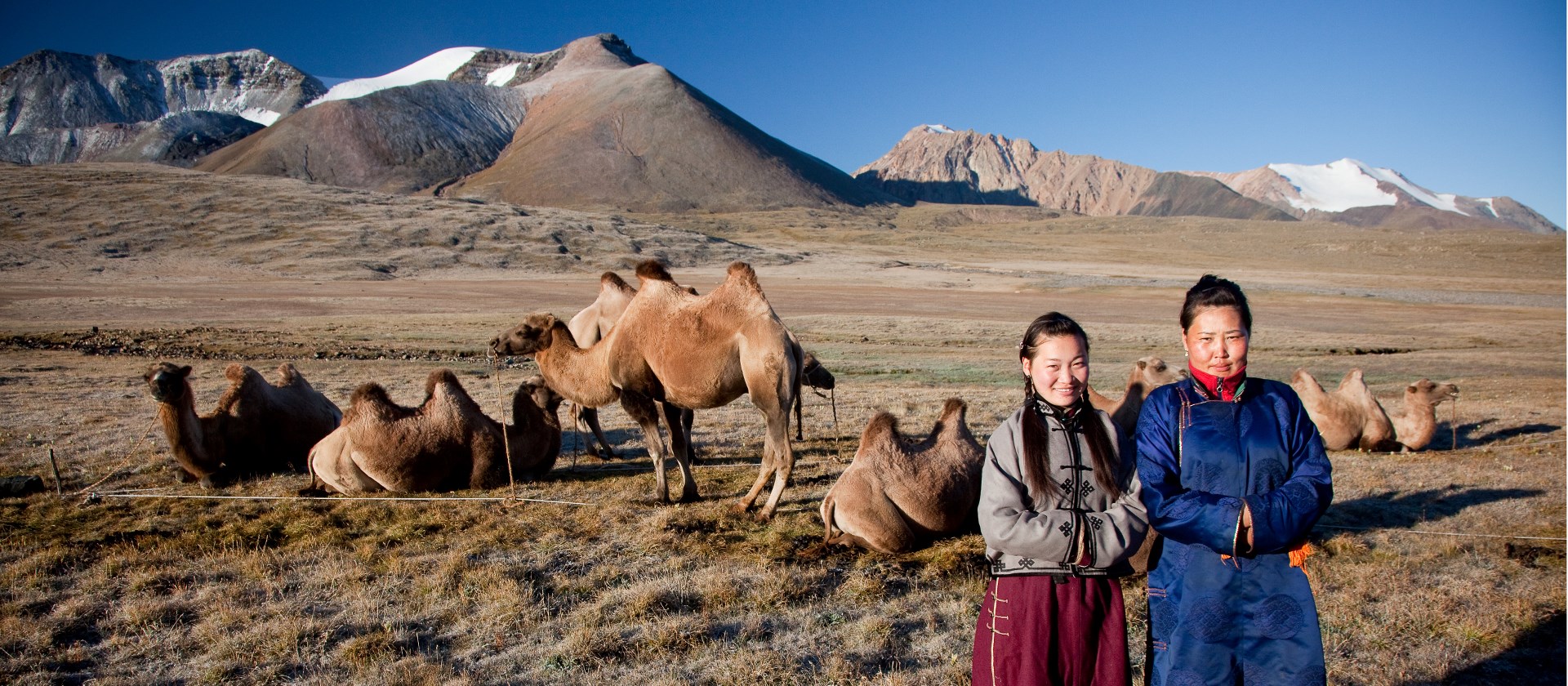 Local herders with their camels on the Mongolian steppe | Cam Cope