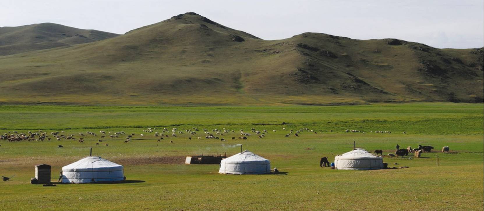 Traditional 'ger' on the vast Mongolian steppe | Urnaa