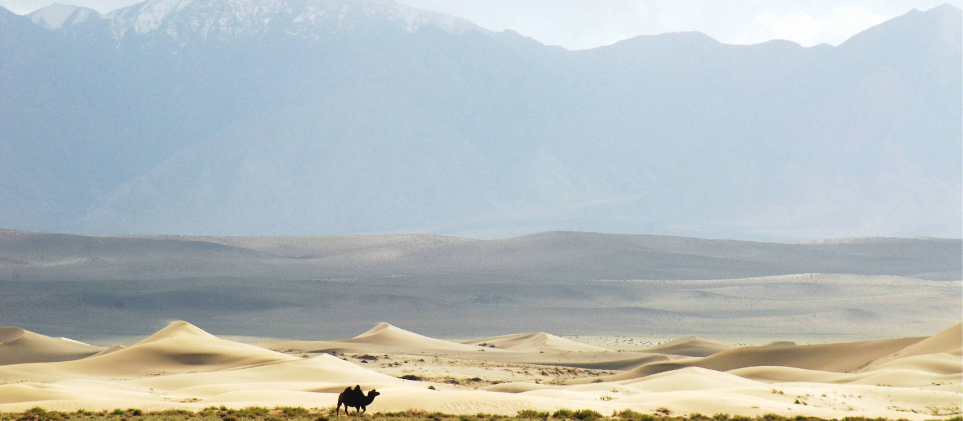 Altai Mountain To Gobi Desert Expedition   Remote Gobi Desert 525287 1920px 16x7 