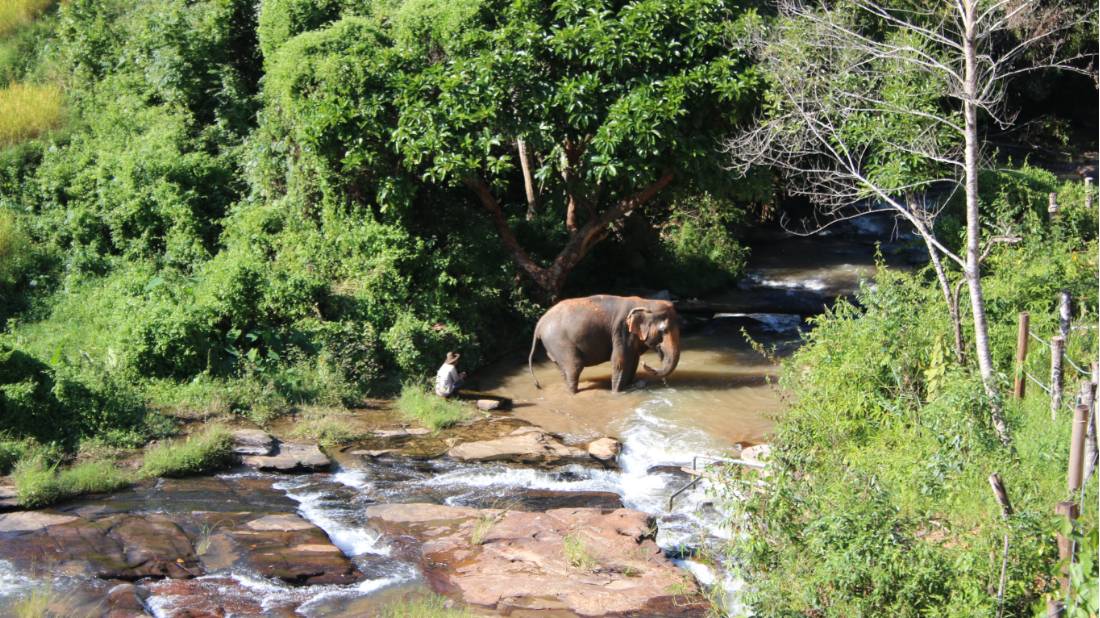 Chiang Mai Ethical Elephant Sanctuary