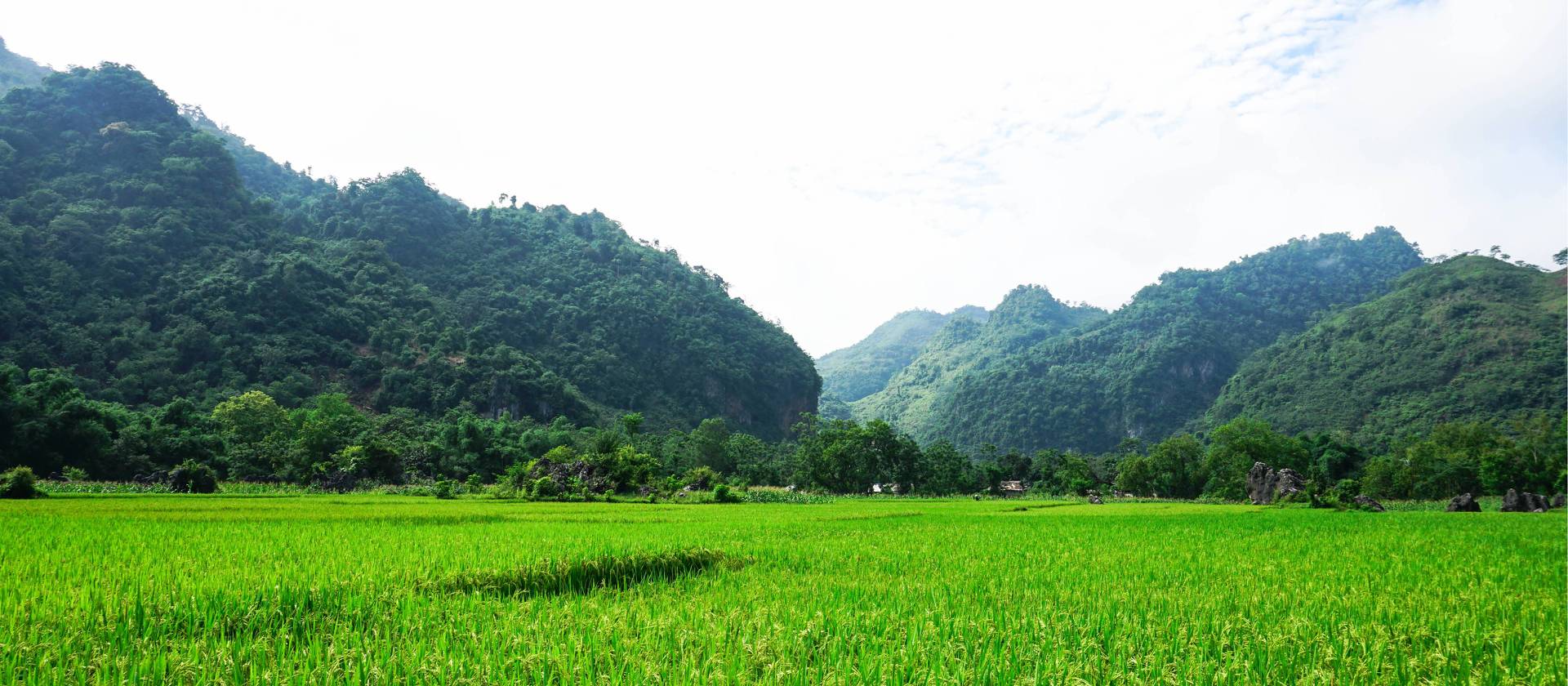 Tranquil Pu Luong, Northern Vietnam