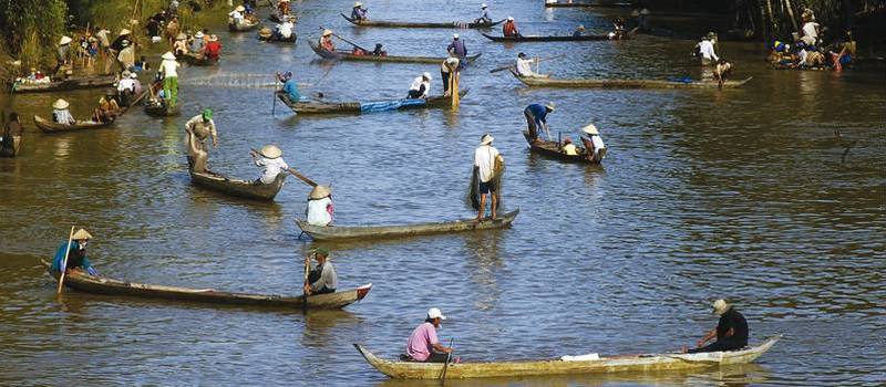 Busy day on the river at Mekong Delta, Vietnam