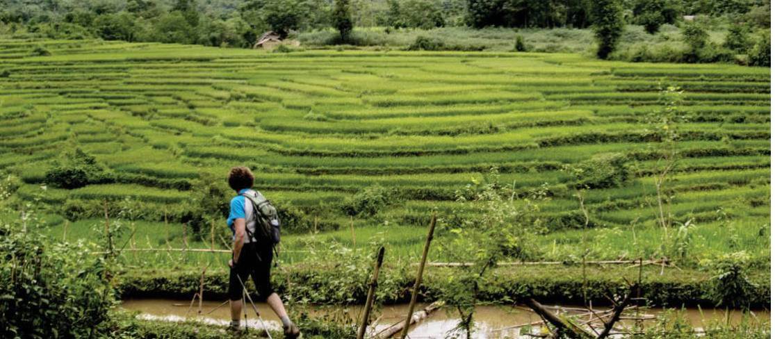 Vietnamese rice terraces | Filip Bartkowiak