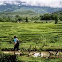 Vietnamese rice terraces | Filip Bartkowiak