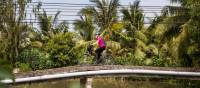 Beautiful colour as we cycle the Mekong Delta | Lachlan Gardiner