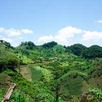 Pu Luong Hike & Homestays