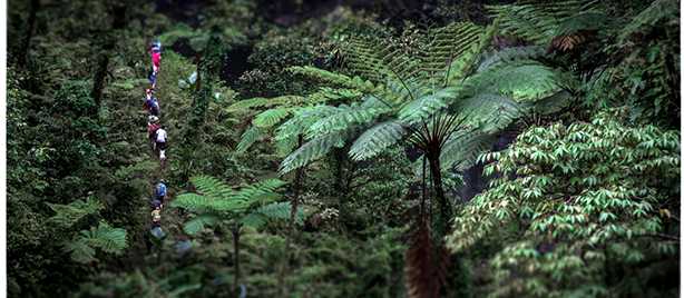 Trekking in the Fijian Highlands