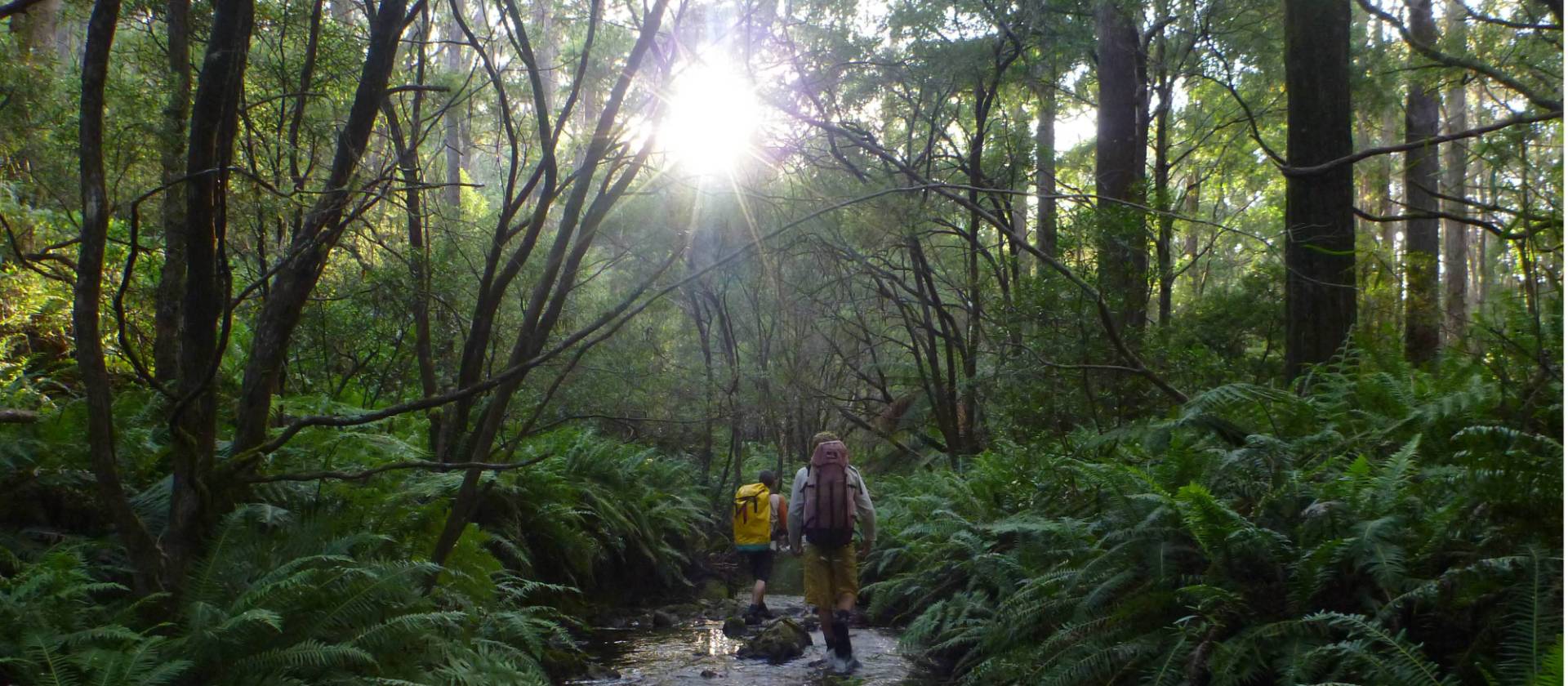 The canyons of Kanangra-Boyd National Park are unique and special places to explore