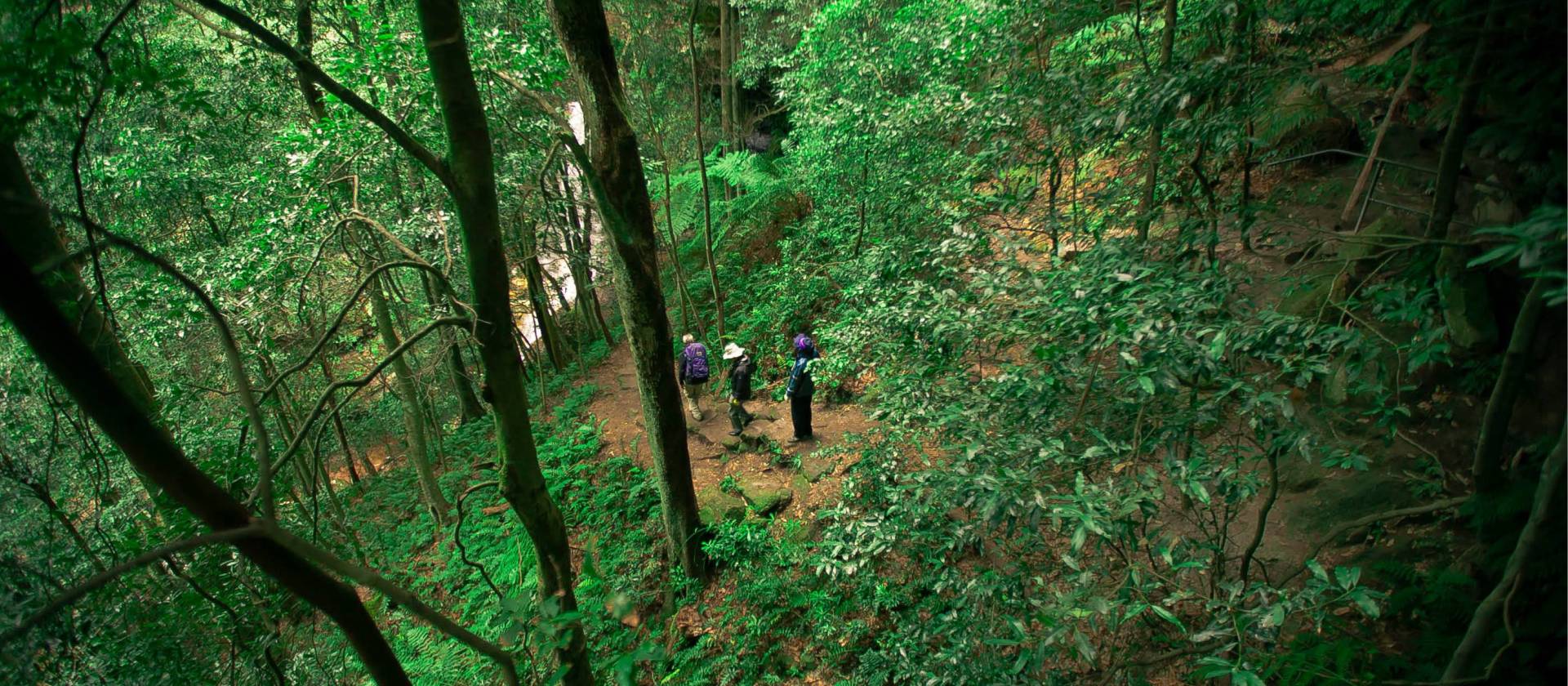 Descending down into the Blue Mountains | Stewart Hayes