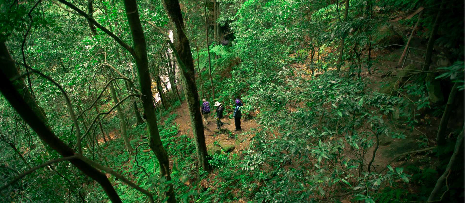 Descending down into the Blue Mountains | Stewart Hayes