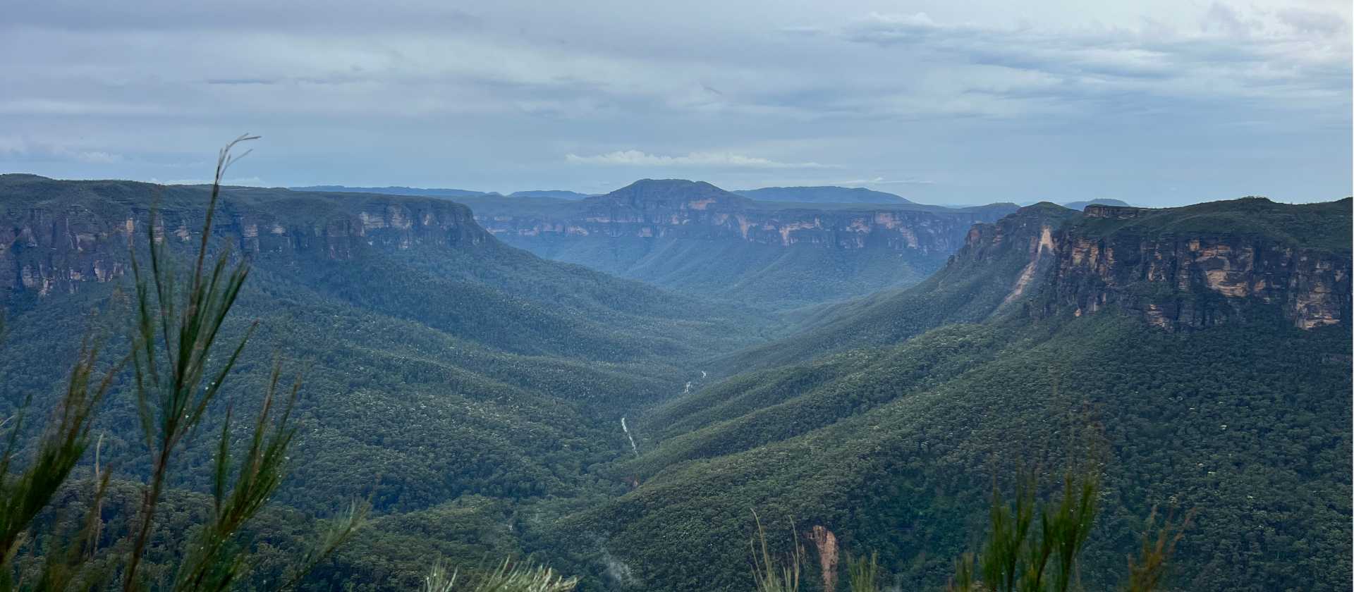 Breathtaking views of the Grose Valley at Evans Lookout | Angela Parajo