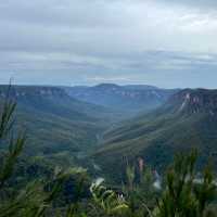 Breathtaking views of the Grose Valley at Evans Lookout | Angela Parajo