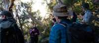 You'll learn so much more from a guided Blue Mountains walk | Joe Kennedy