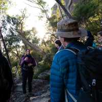You'll learn so much more from a guided Blue Mountains walk | Joe Kennedy