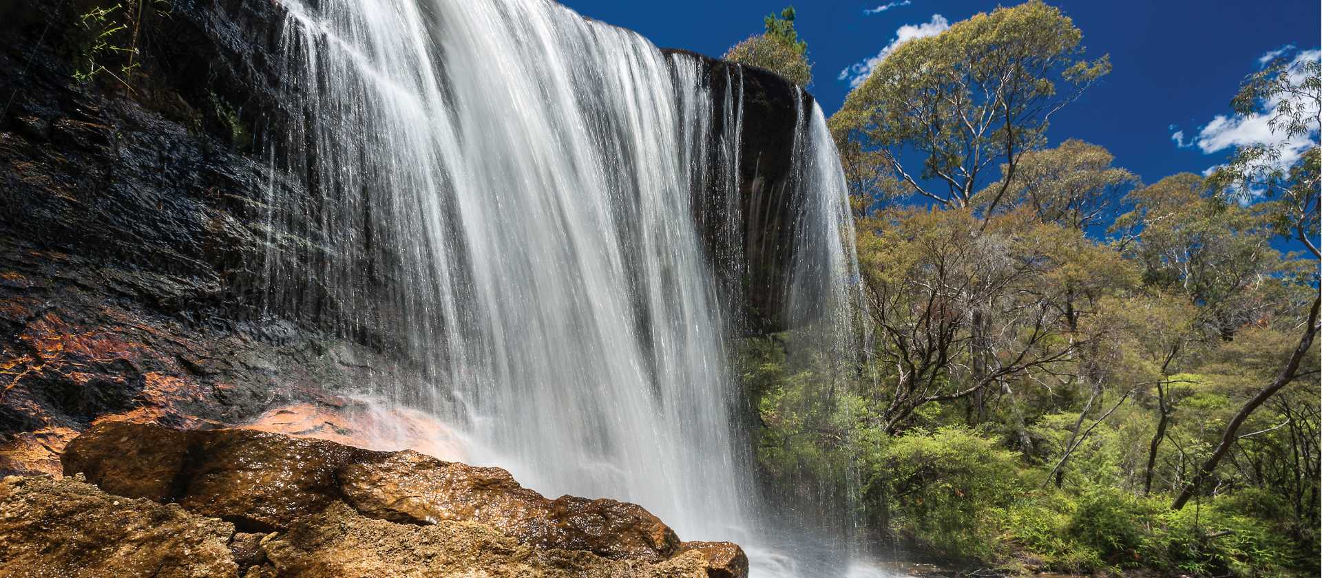 Natural wonders on the Charles Darwin Track | David Hill